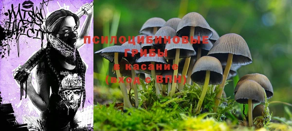 прущая мука Аркадак