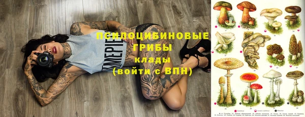 меф Арсеньев