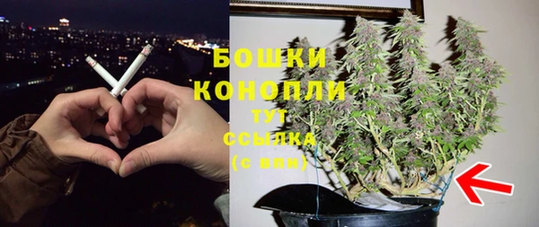 меф Арсеньев
